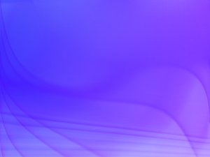 清水河縣舍賓有限責任公司